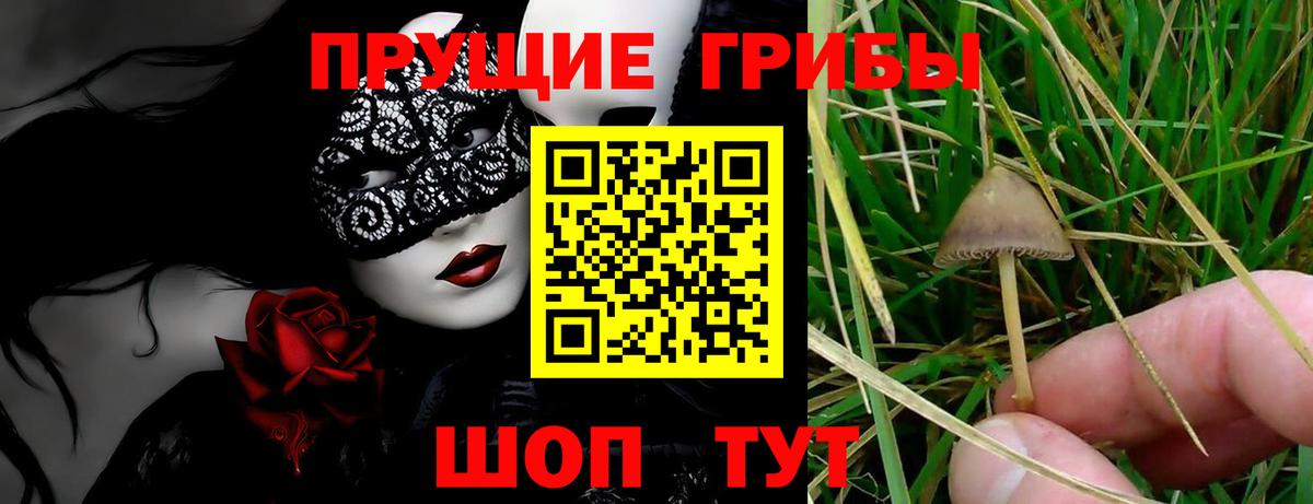Мегион  Галлюциногенные грибы GOLDEN TEACHER  Вход с VPN 